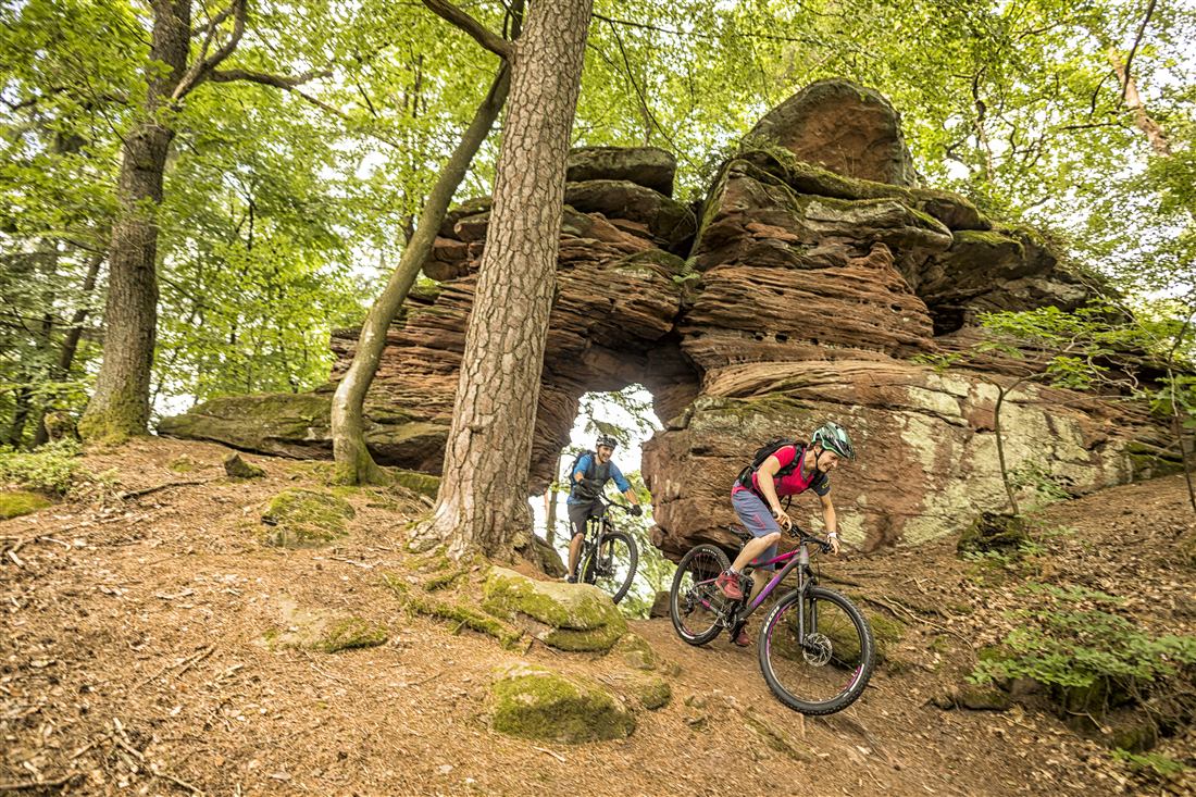 Trail an Sandsteinfelsen im Wasgau, Mountainbikepark Pfälzerwald