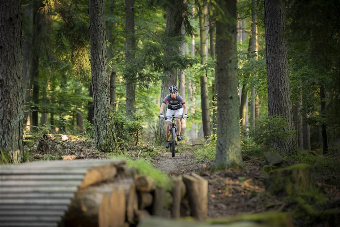 Flowtrail Bad Orb im Spessart